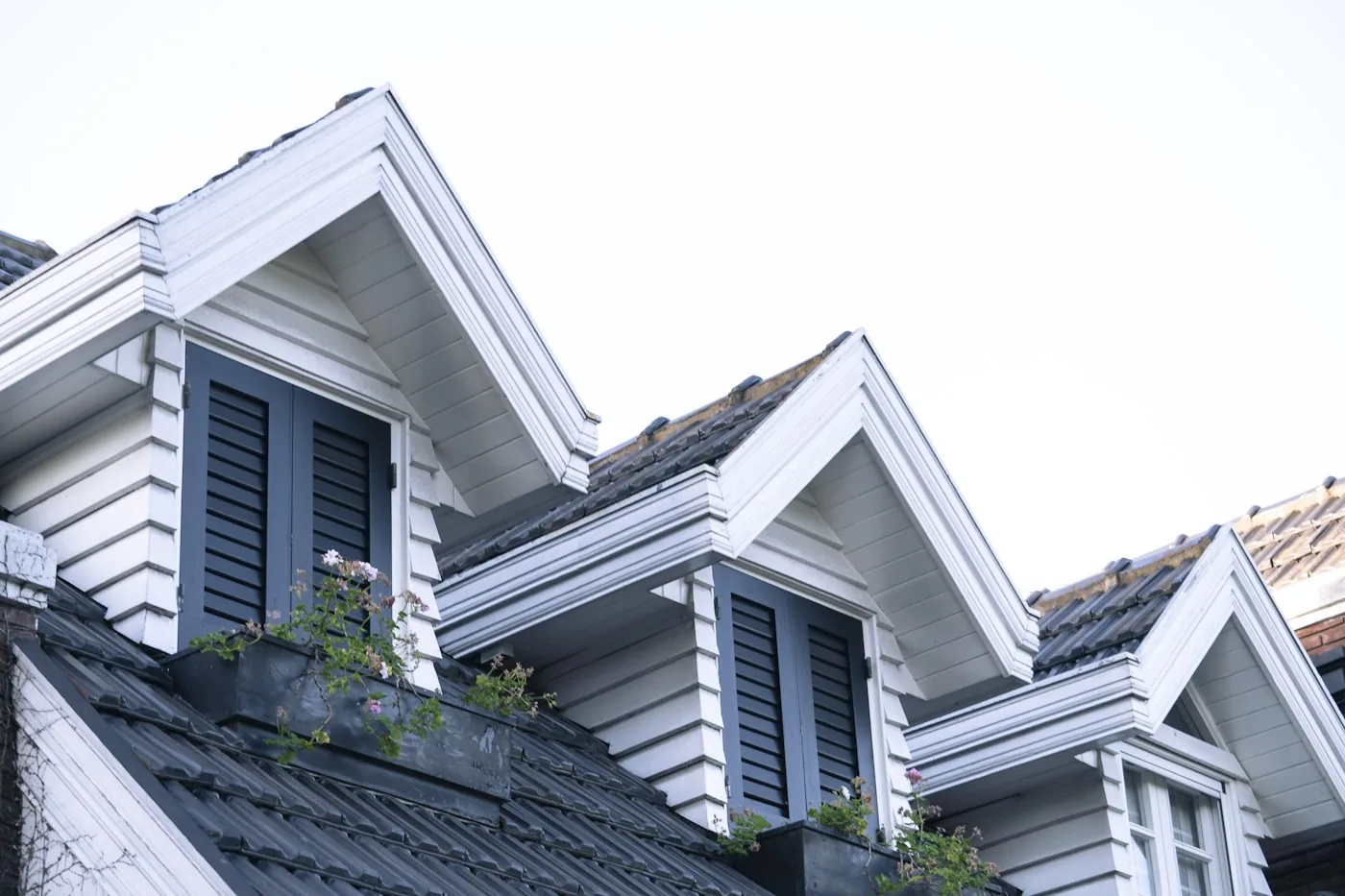 Residential homes with shingled roofs and white siding